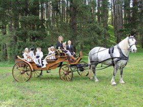 Classic Carriage Drives - Australia Accommodation 0