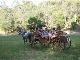 Classic Carriage Drives - Australia Accommodation 3