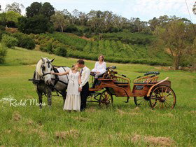 Classic Carriage Drives - Australia Accommodation 2