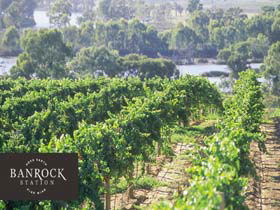 Banrock Station Wine And Wetland Centre - Australia Accommodation 0