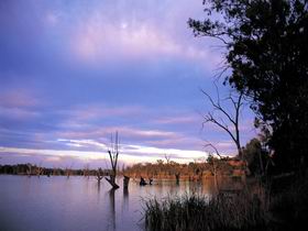 Loch Luna Game Reserve And Moorook Game Reserve - Australia Accommodation 0