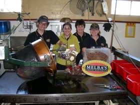 Melba's Chocolate And Confectionery Factory - Australia Accommodation 1