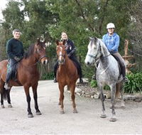 Academy of Dressage - Australia Accommodation