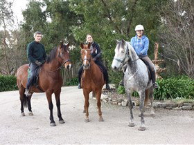 Academy Of Dressage - Australia Accommodation 0