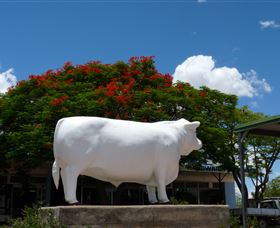 Aramac - The White Bull - Australia Accommodation 1