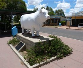 Aramac - The White Bull - Australia Accommodation 2
