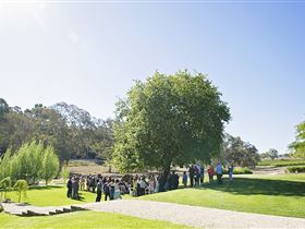 Howard Vineyard - Australia Accommodation 1