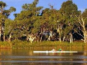 Martin Bend Reserve - Australia Accommodation 0