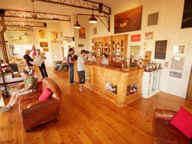 Adelaide Biplanes - Australia Accommodation 1