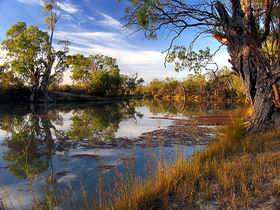 Murray River National Park - Australia Accommodation 0
