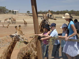Monarto South SA Australia Accommodation