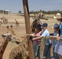 Monarto Open Range Zoo - Australia Accommodation