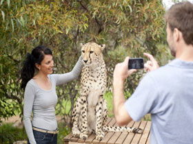 Monarto Open Range Zoo - Australia Accommodation 1