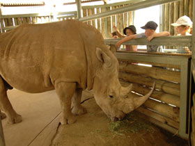 Monarto Open Range Zoo - Australia Accommodation 2