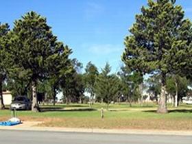 Loxton Motorhome Reserve - Australia Accommodation 0