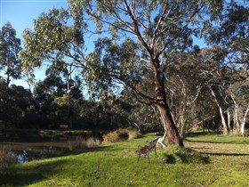 Mount Compass And District Produce And Tourist Trail - Australia Accommodation 3