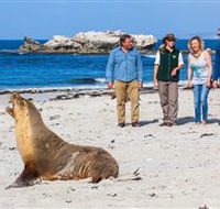 Seal Bay Conservation Park - Australia Accommodation
