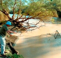 Charleville - Ward River Fishing Spot - Australia Accommodation