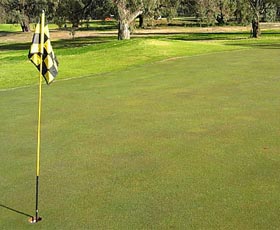 Wentworth Sporting Complex - Australia Accommodation 0