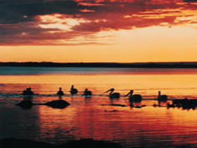 Coorong National Park - Australia Accommodation 1