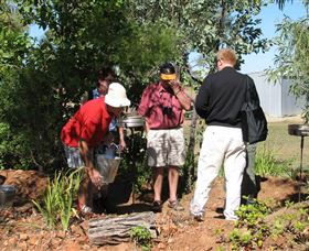 Mount Surprise Gems - Australia Accommodation 2