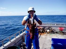Lacepede Seafood - Australia Accommodation 2