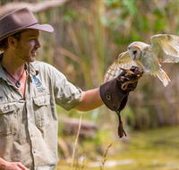 Territory Wildlife Park - Australia Accommodation