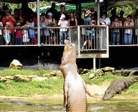 Knuckey Lagoon NT Australia Accommodation