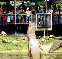 Crocodylus Park - Australia Accommodation