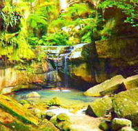 Carnarvon Gorge Carnarvon National Park - Australia Accommodation