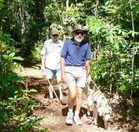 Wongabel State Forest - Australia Accommodation