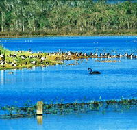 Hasties Swamp National Park - Australia Accommodation