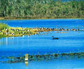 Hasties Swamp National Park - Australia Accommodation 0