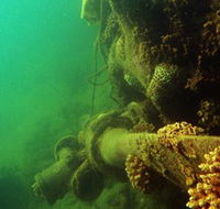 Wreck Diving at Magnetic Island - Australia Accommodation