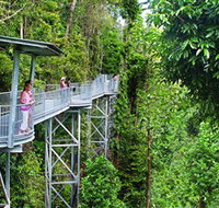 Mamu Tropical Skywalk - Australia Accommodation