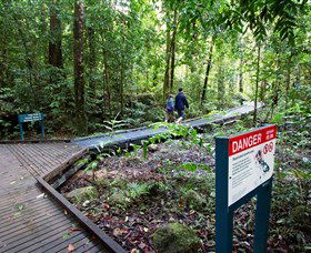 Josephine Falls, Wooroonooran National Park - Australia Accommodation 2