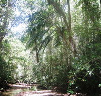Mount Lewis National Park - Australia Accommodation