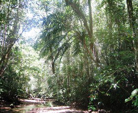 Mount Lewis National Park - Australia Accommodation 0