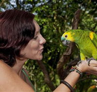 Birdworld Kuranda - Australia Accommodation