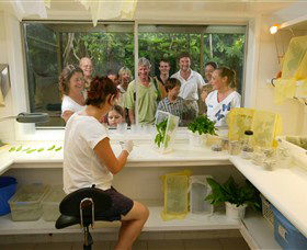 Australian Butterfly Sanctuary - Australia Accommodation 3