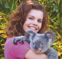 Kuranda Koala Gardens - Australia Accommodation