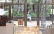 Kuranda Arts Cooperative Gallery - thumb 2
