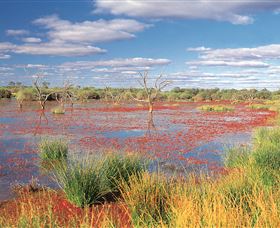 Adventure Way - Australia Accommodation 3