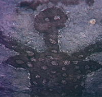 Quinkan Reserves Ancient Rock Art - Australia Accommodation