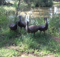 East Tolans Farm Tour - Australia Accommodation