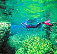 Piccaninnie Ponds Conservation Park - Australia Accommodation