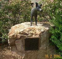 Dingo Statue - Australia Accommodation