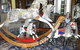 Rocking Horse Restorations - thumb 0