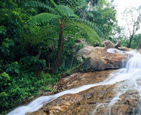 Finch Hatton Gorge - Australia Accommodation 0