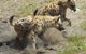 Altina Wildlife Park - thumb 0